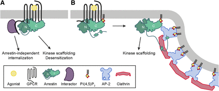 Fig. 2.