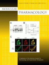 Molecular Pharmacology: 81 (2)