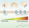 The Role of ACKR3 in Breast, Lung, and Brain Cancer