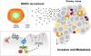 G<em>βγ</em> Pathways in Cell Polarity and Migration Linked to Oncogenic GPCR Signaling: Potential Relevance in Tumor Microenvironment