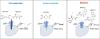 Probing the Chemical Space of Guanidino-Carboxylic Acids to Identify the First Blockers of the Creatine-Transporter-1