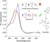 Induced Fit Describes Ligand Binding to Membrane-Associated Cytochrome P450 3A4