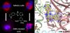 Colchicine Binding Site Agent DJ95 Overcomes Drug Resistance and Exhibits Antitumor Efficacy