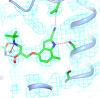 Pharmacological Analysis and Structure Determination of 7-Methylcyanopindolol–Bound <em>β</em><sub>1</sub>-Adrenergic Receptor