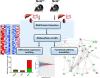 Characterization and Proteomic-Transcriptomic Investigation of Monocarboxylate Transporter 6 Knockout Mice: Evidence of a Potential Role in Glucose and Lipid Metabolism