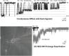 Mechanisms of Action Underlying Conductance-Modifying Positive Allosteric Modulators of the NMDA Receptor