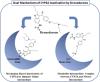 Inactivation of Human Cytochrome P450 3A4 and 3A5 by Dronedarone and <em>N</em>-Desbutyl Dronedarone