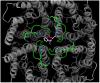 Bumetanide Derivatives AqB007 and AqB011 Selectively Block the Aquaporin-1 Ion Channel Conductance and Slow Cancer Cell Migration